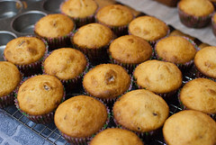 maple bacon muffins