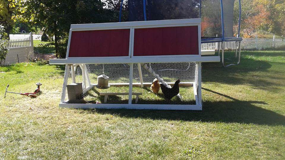 Frame Chicken Coop | Do It Yourself Home Projects from Ana White