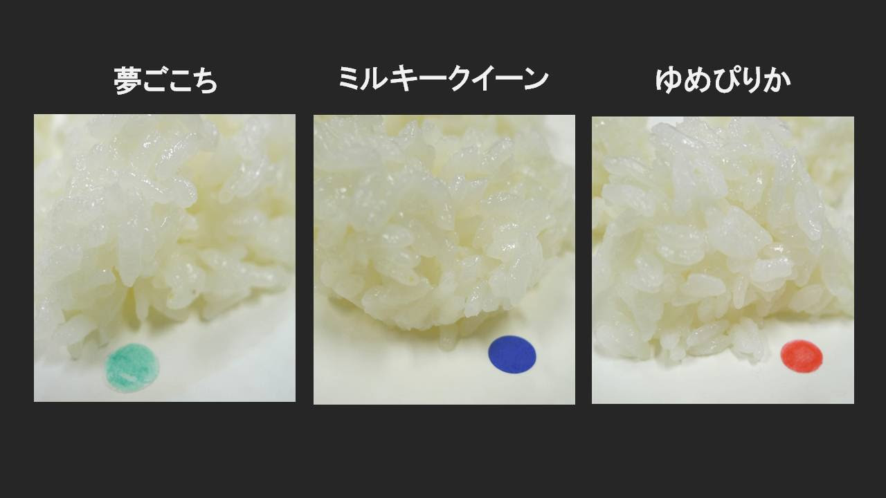 お弁当にぴったり 冷めても美味しいと噂のお米を食べ比べ 遊民悠民 ゆうみんゆうみん