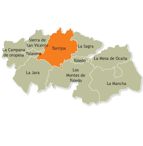 Resultado de imagen de comarca de torrijos
