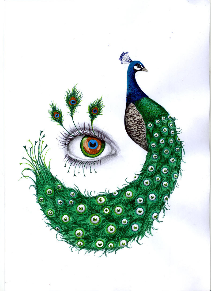 Download peacock by LaChauveSourisDoree on DeviantArt