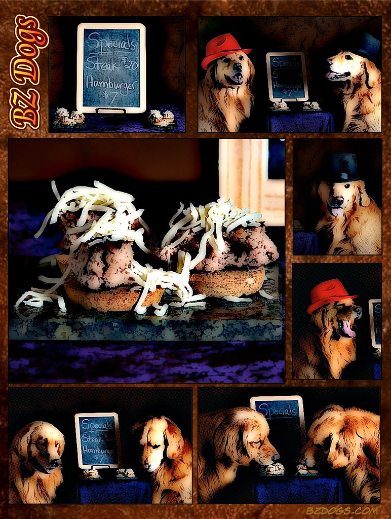Canine Canapé
