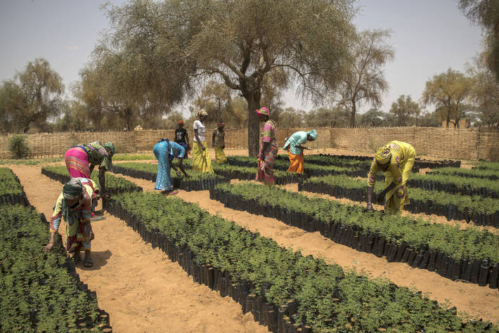 Photo: ©Benedicte Kurzen/NOOR for FAO
