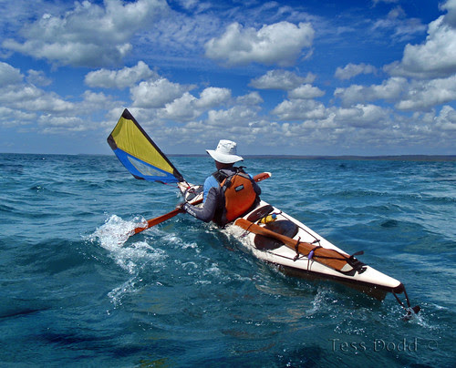 Gnarlydog News: SHOP: DIY sea kayak sail