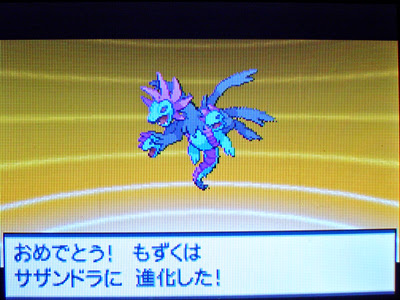 ふわわんいちご ｂｗプレイ