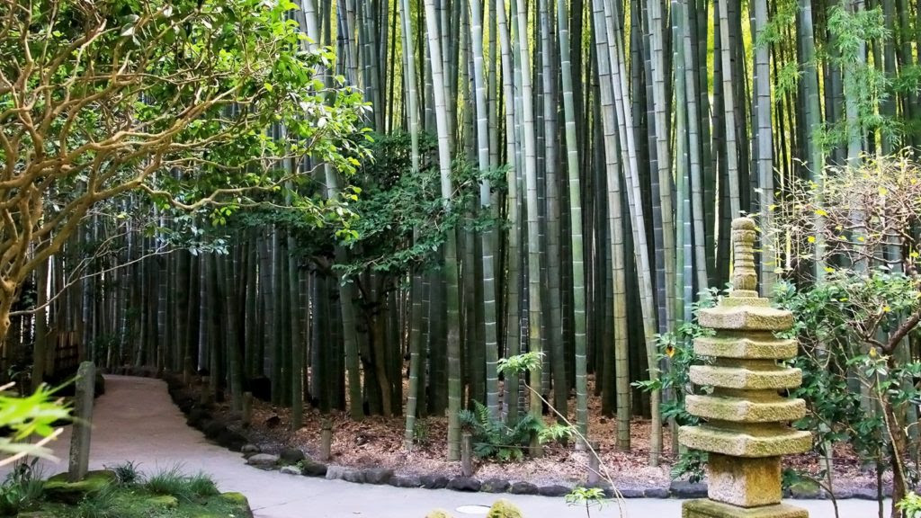 関東 アーカイブ 写真を撮る旅へでかけよう 観光情報サイト 撮る旅