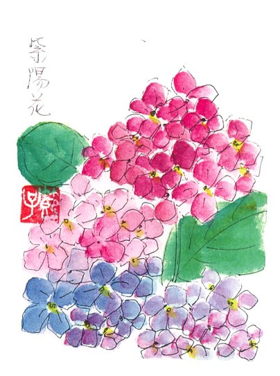 季節の絵手紙 季節の絵手紙 6月