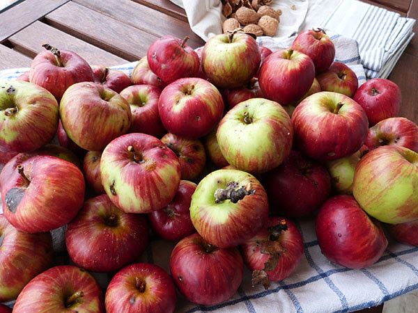 pommes