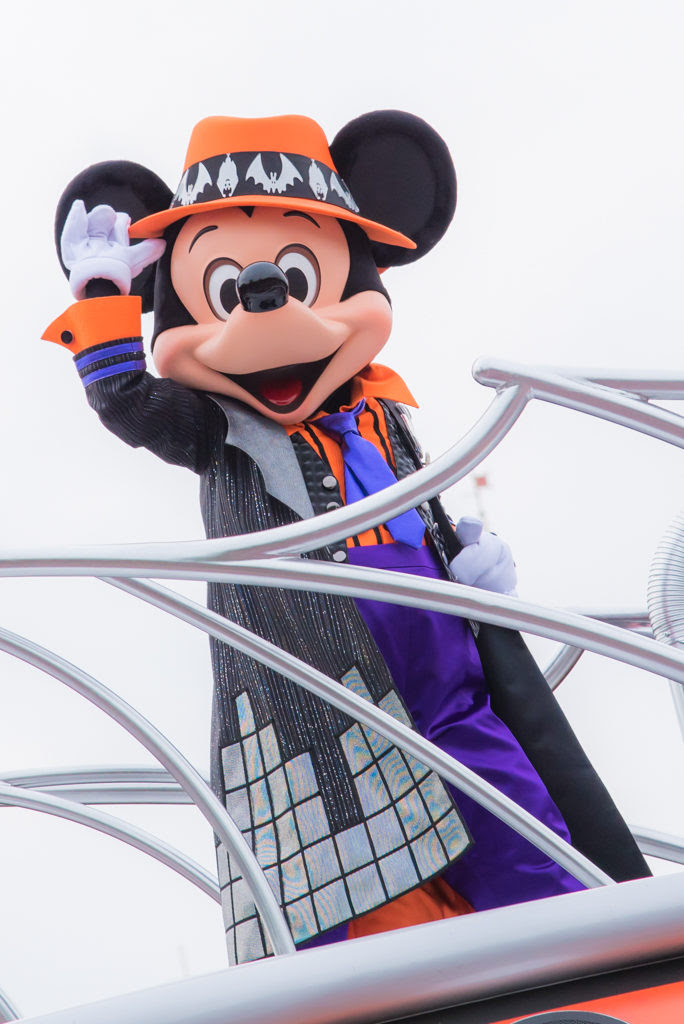 ディズニーで大活躍 初心者にもおすすめの一眼レフカメラを厳選 しょーびずいず しょーさんのディズニーブログ