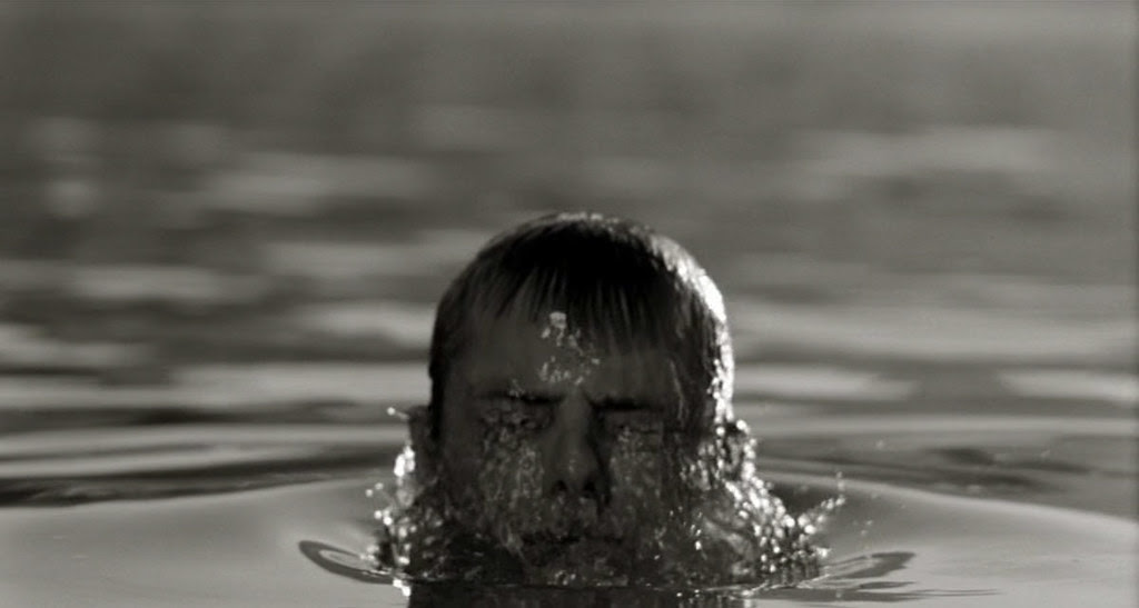 The Fall (2006)