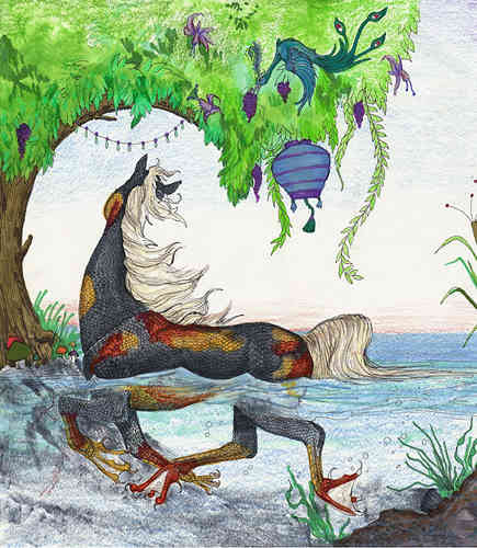 Shawndor The Koi Kelpie Stud