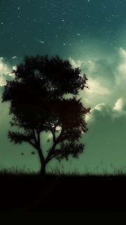Newest 31+ Mobile Phone HD Wallpapers 1080P