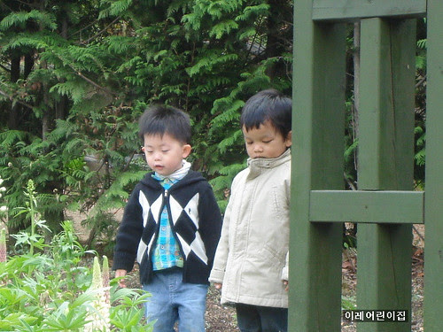 junu and niyor