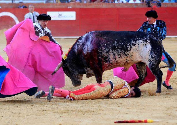 PAY-Bullfighter-dies-at-Feria-del-Angel
