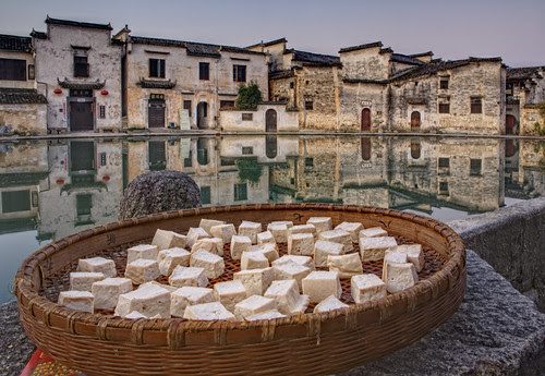 Drying Tofu