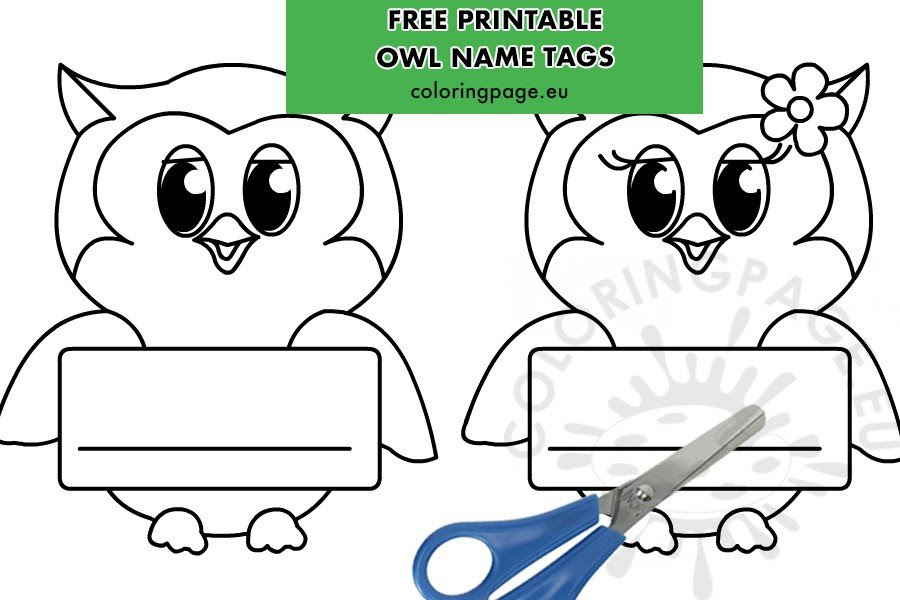 Classroom Owl Name s Printable Coloring Page