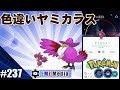 √画像をダウンロード ヤミカラス ポケモン 166389-ヤミカラス ポケモンgo