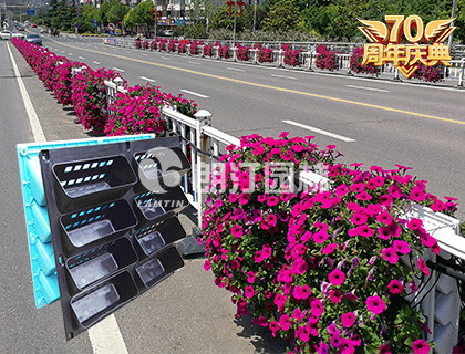 植物墙蓄水花盆 围墙绿化花盆 护栏绿化花盆 Pp塑料花盆lt M5012