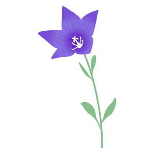 桔梗の無料イラスト3 花 植物イラスト Flode Illustration フロデイラスト