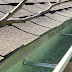 Gutters Alamo Heights / Local gutter cleaning, gutter contractor