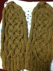 Mitts