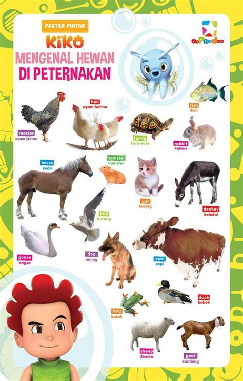 poster hewan jual poster gambar dunia binatang animals  lapak bumi
