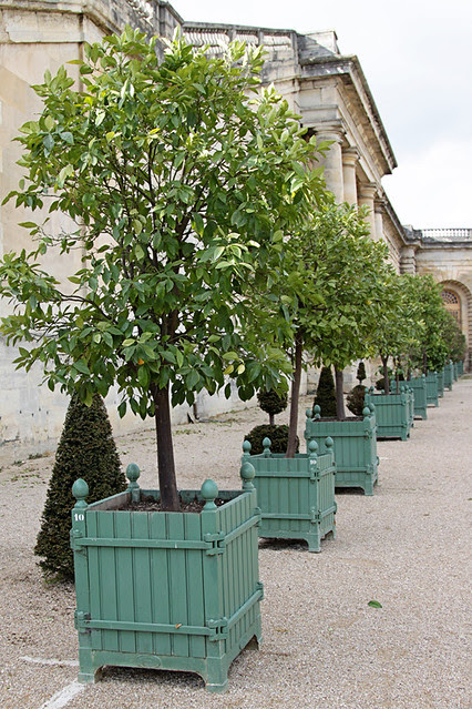 VersaillesGardens22