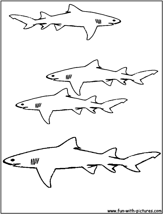 Great White Shark Coloring Pages - Coloring Home