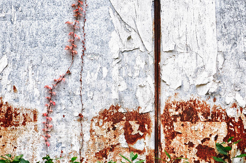 Peel the Paint 33065_56