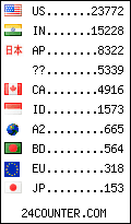 visitors by country counter