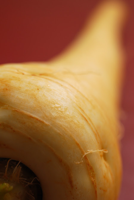 parsnip © haalo