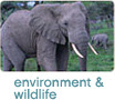 Environment & Wildlife