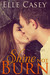 Shine Not Burn