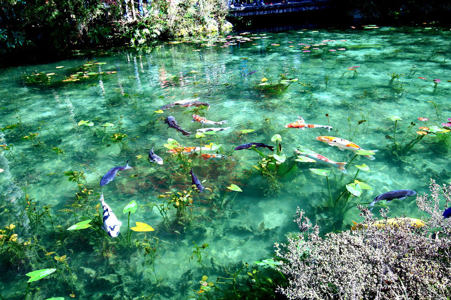 日本の風景 日本の美しい風景から絶景の観光地をご案内