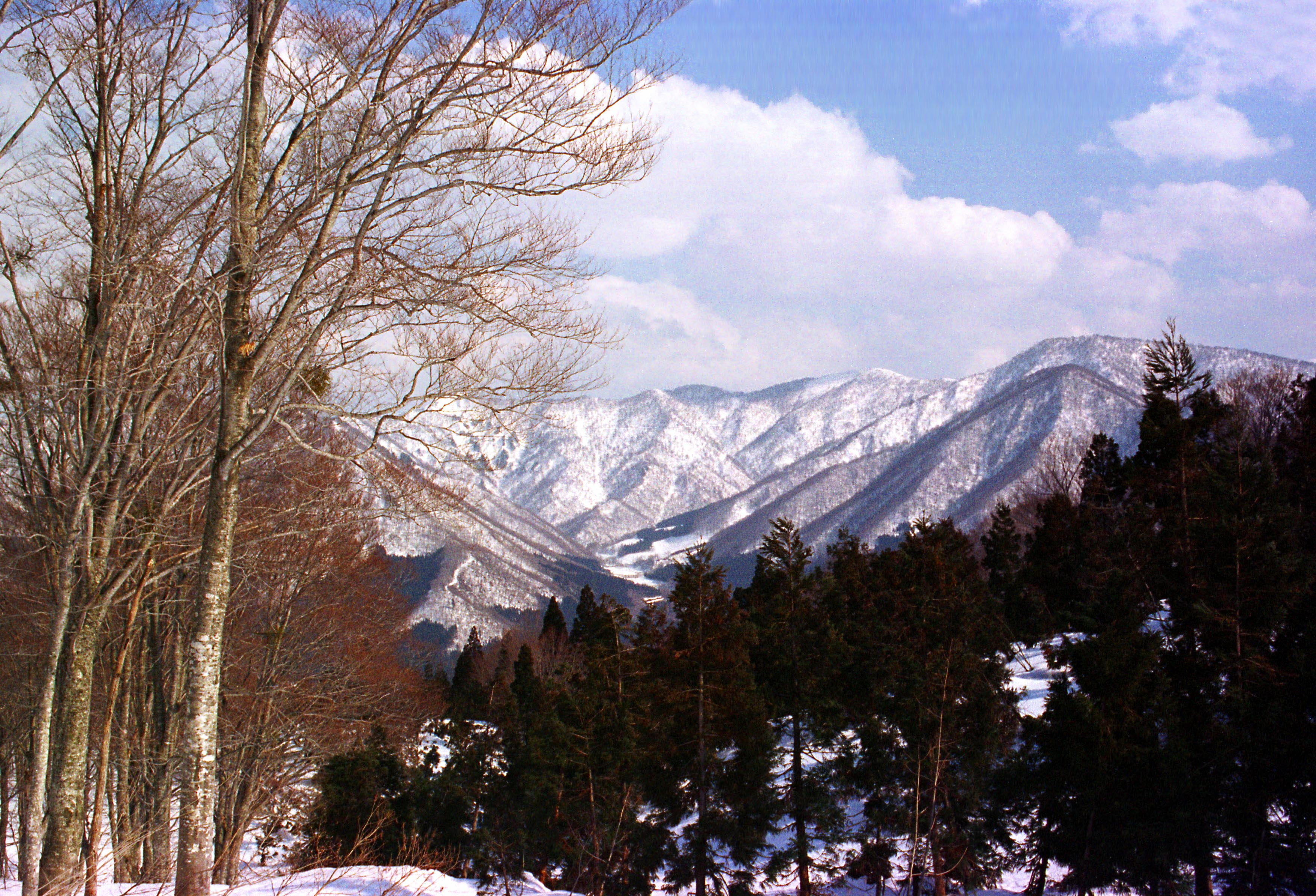 ゆんフリー写真素材集 No 406 雪山の午後 日本 新潟