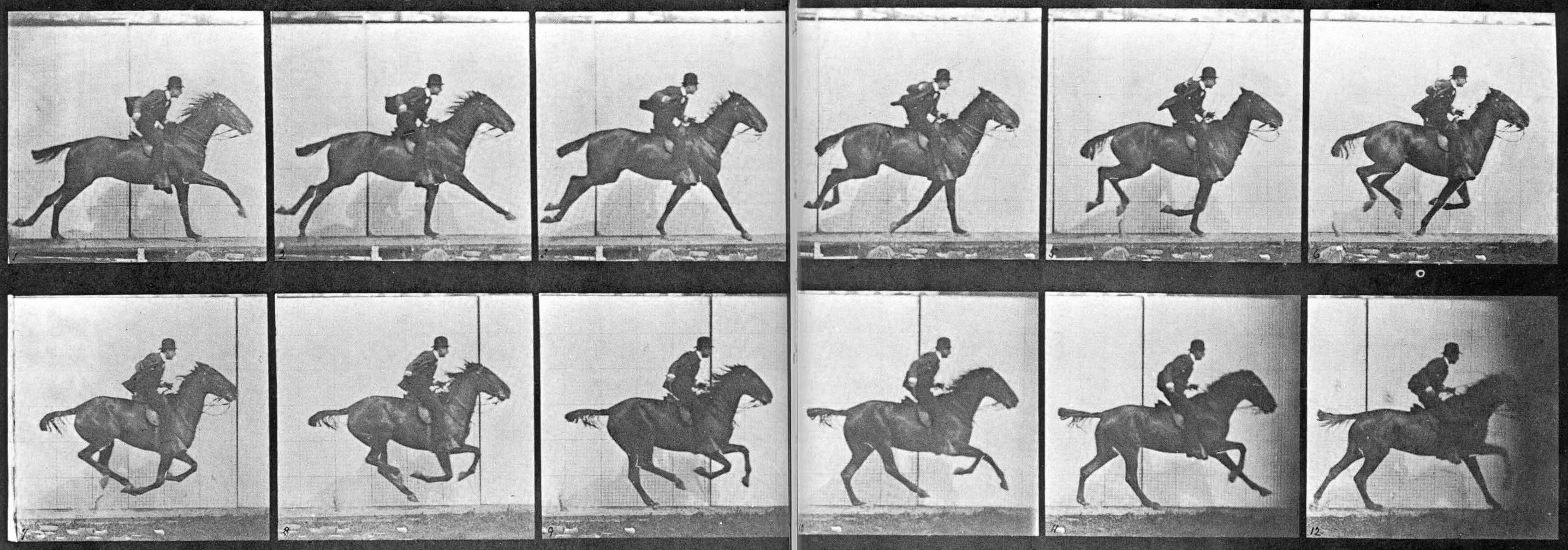 muybridge-horse.jpg