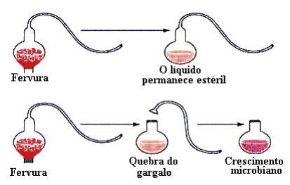 Experimento de spallanzani