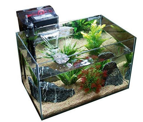 the best filters for 20 gallon fish tank