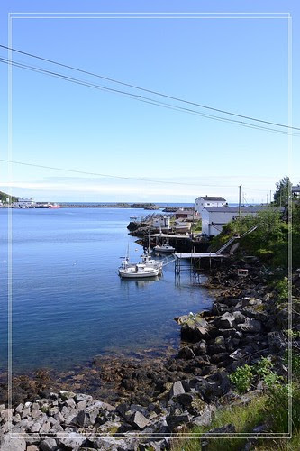 fDSC_1794