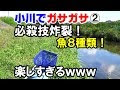 [新しいコレクション] ガサガサ 魚とり 290561-ガサガサ 魚取り 西三河 ポイント
