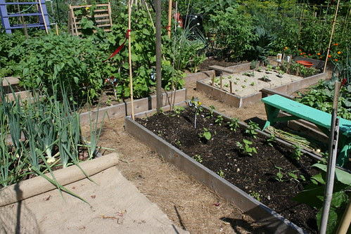gardens 009