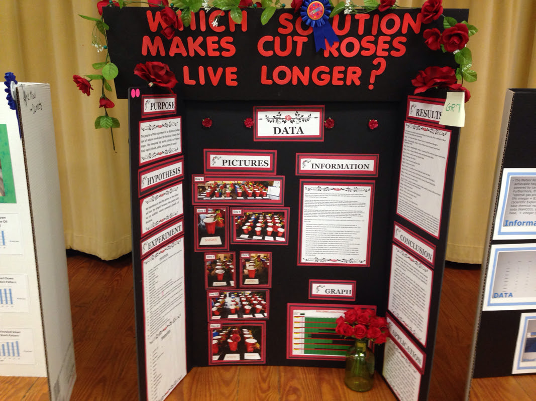 Pine Trail's winning Science Fair Projects - Mrs. Schandel's 5th Grade