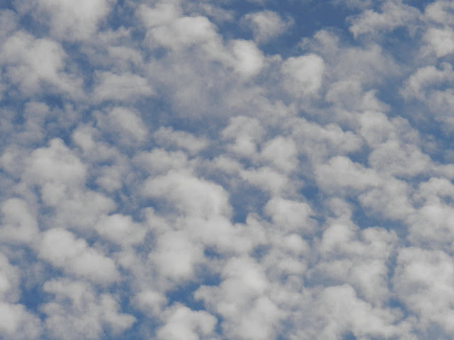 skywatchDSCN4849