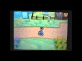 ++ 50 ++ ポケモンxy タマゴグループとは 286323-ポケモンxy タマゴグループとは