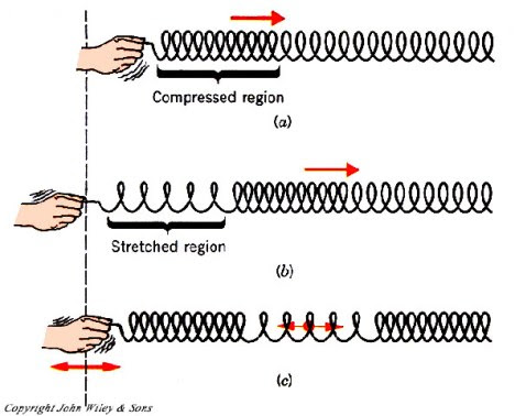 longitudinal