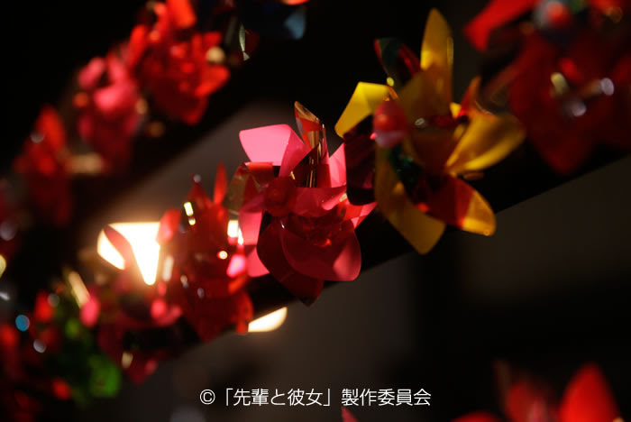 映画 先輩と彼女 大ヒット公開中
