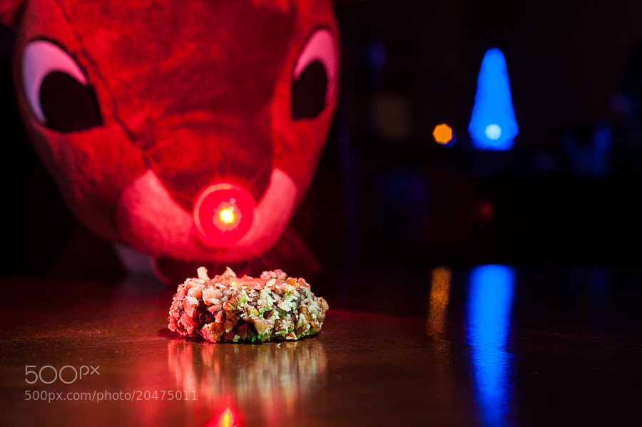 Rudolph's Turtle Cookie by Jay Scott (jayscottphotography)) on 500px.com