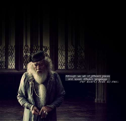 desculpaeunaosouperfeito:

“As conseqüências de nossos atos são sempre tão complexas, tão diversas, que predizer o futuro é uma tarefa realmente difícil.”
Alvo Dumbledore
This is a code.
