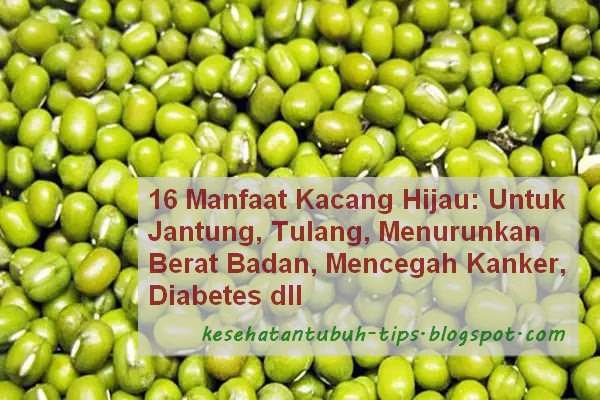 Manfaat Kacang Hijau: Untuk Jantung, Tulang, Menurunkan Berat Badan, Mencegah Kanker, Diabetes dll