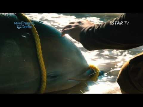 Die Vampirschwestern 2 movement